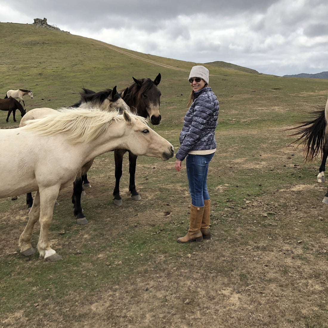 Equine Therapy