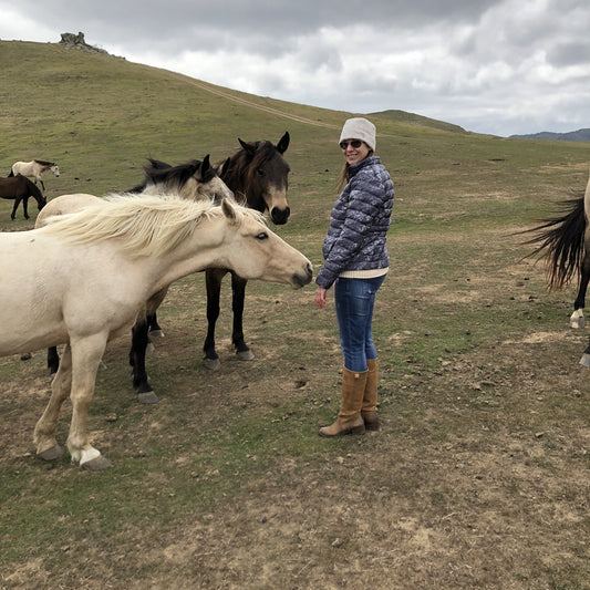 Equine Therapy