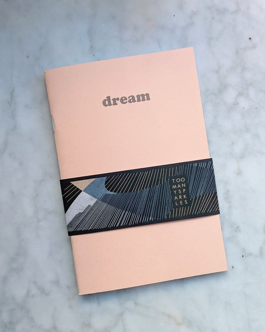 Dream Pale Coral Notebook