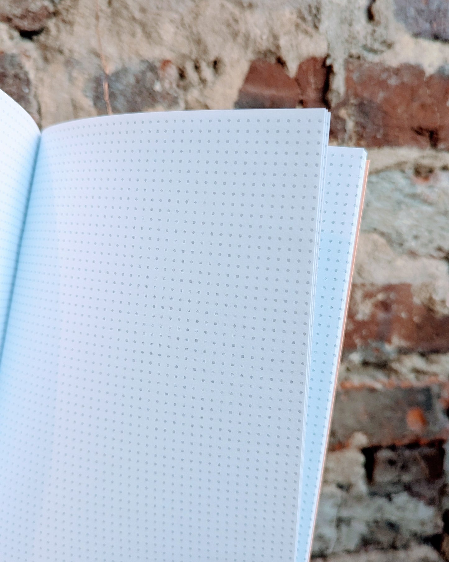 Dream Pale Coral Notebook