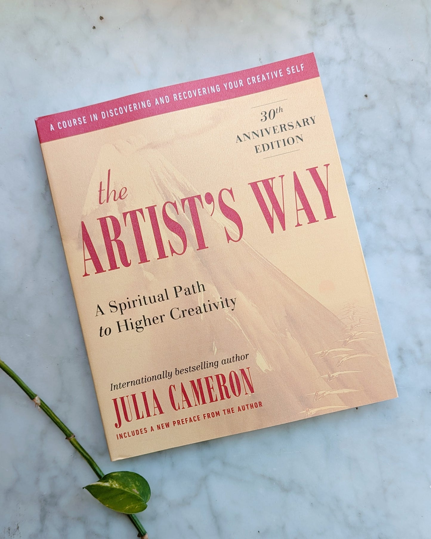 The Artist's Way Book