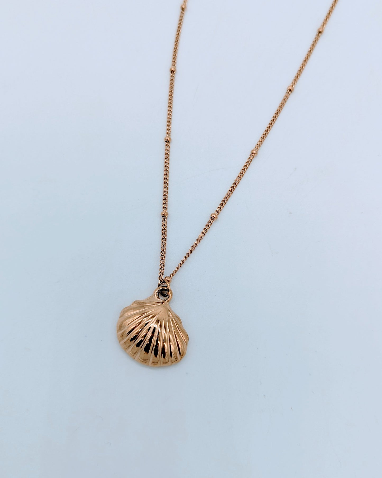 Shell Pendant Necklace - Gold
