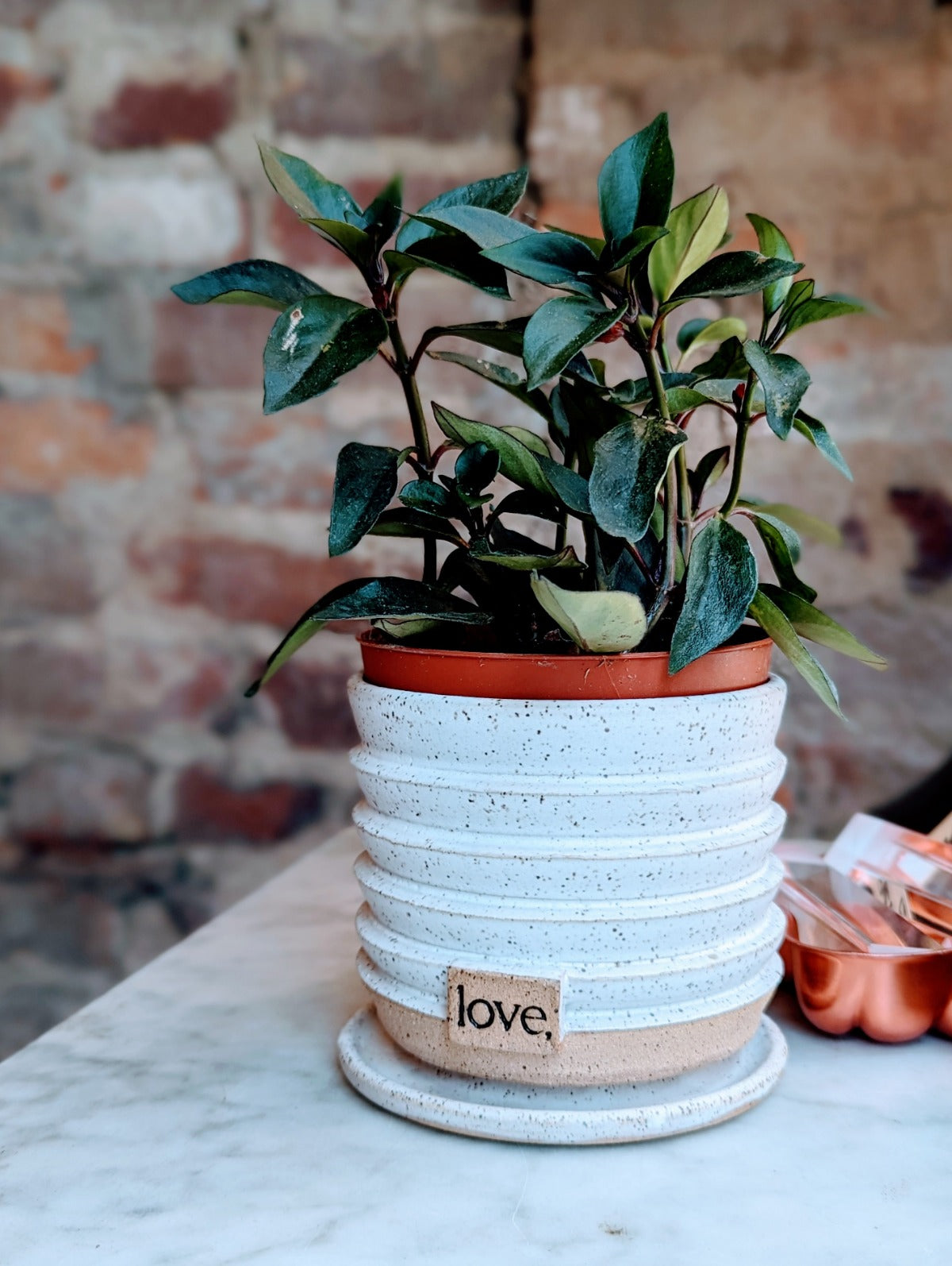 Wavy Planter