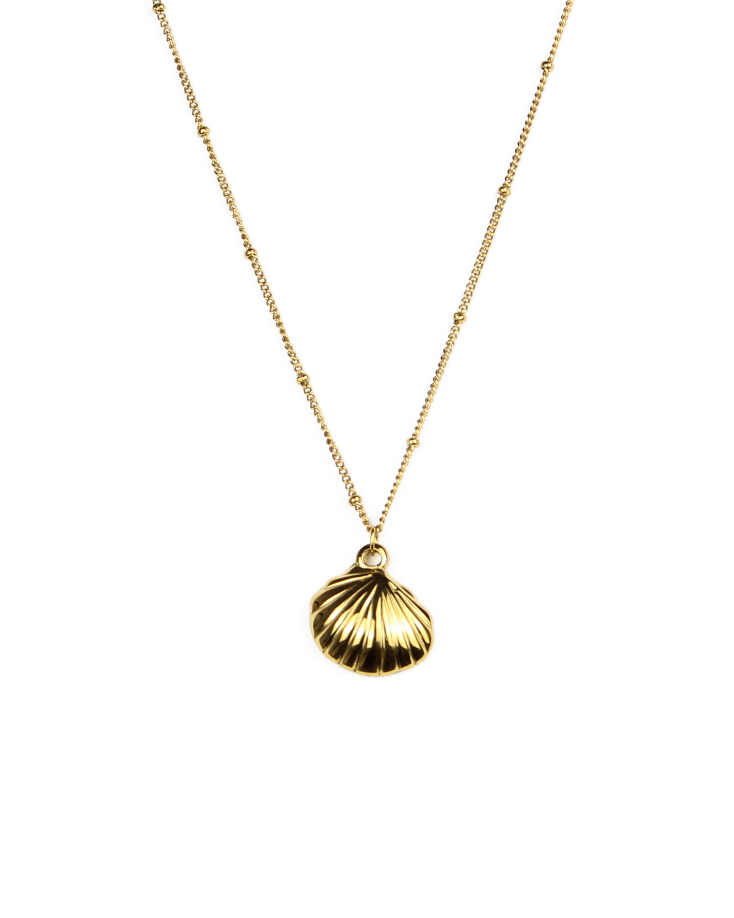shell pendant necklace on a white background